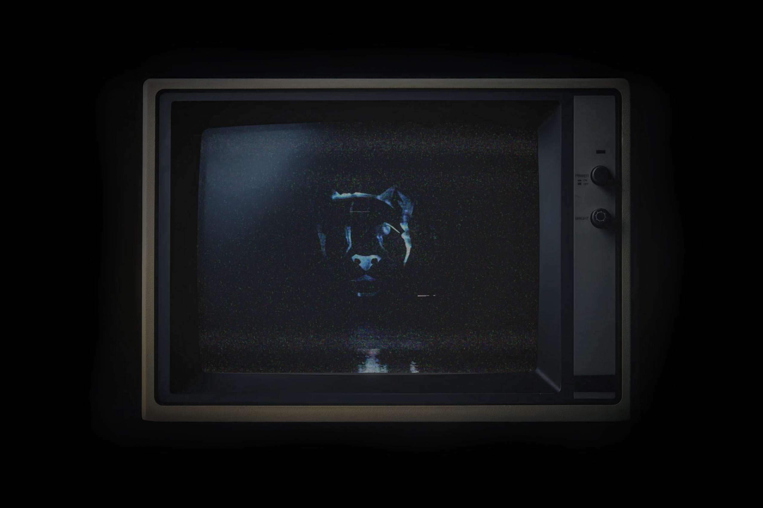 TC-Demo-section-BG-02