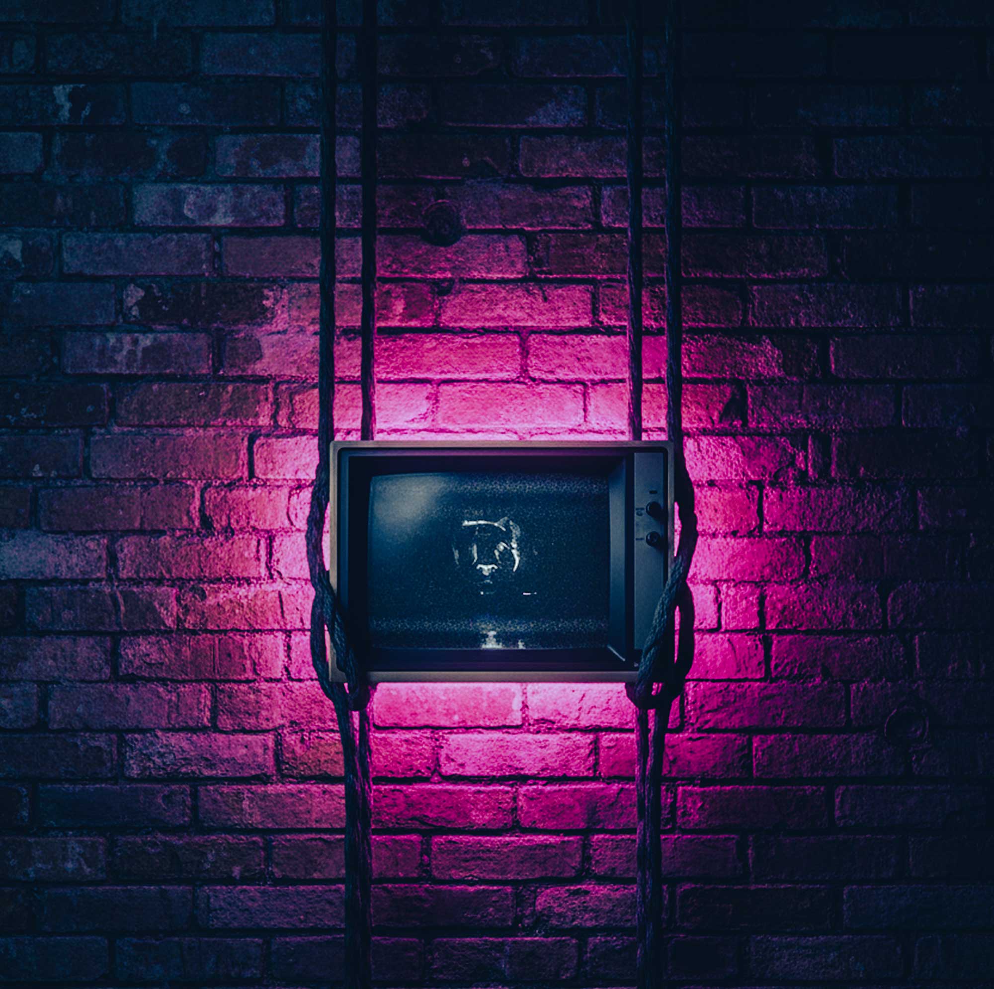 TC-Demo-section-BG-mobile-03